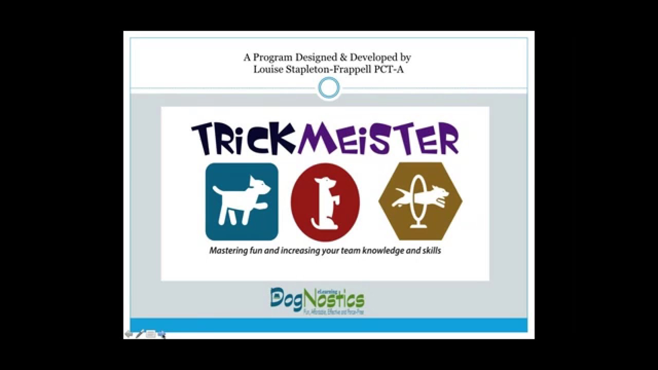 About the TrickMeister Certification Program