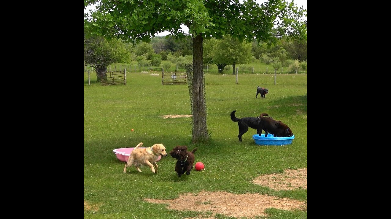 Play Date 5 28 23