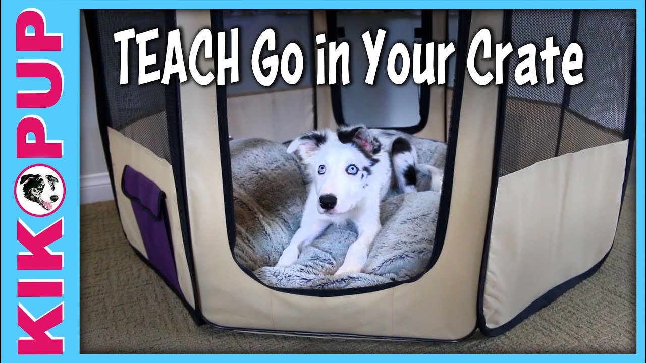 Teach Go in Your Crate