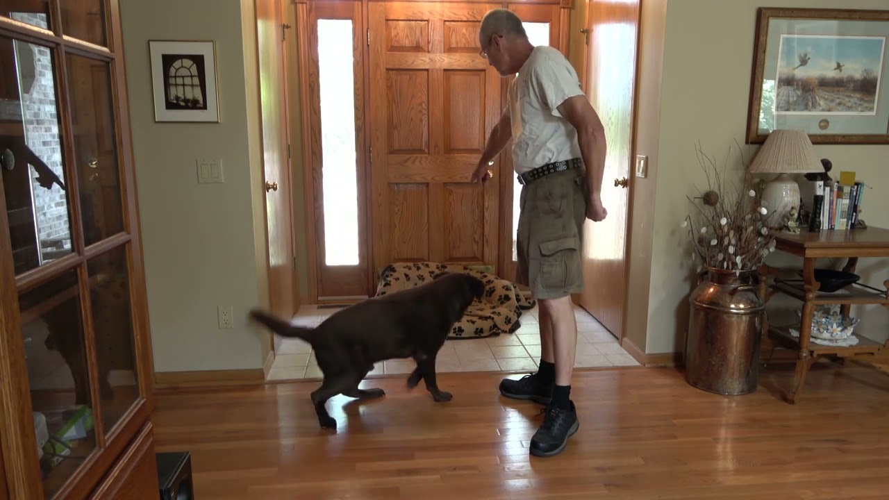 Teaching Go to Bed