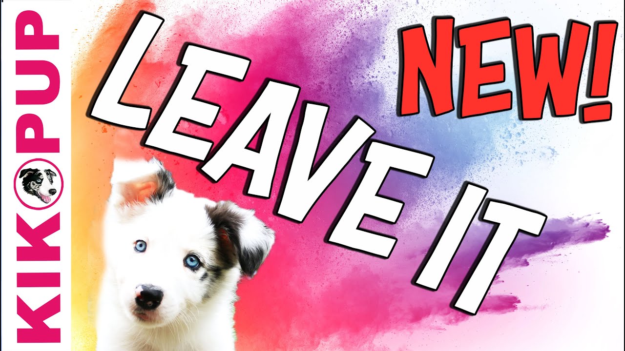 Leave It   *NEW version by KIKOPUP*