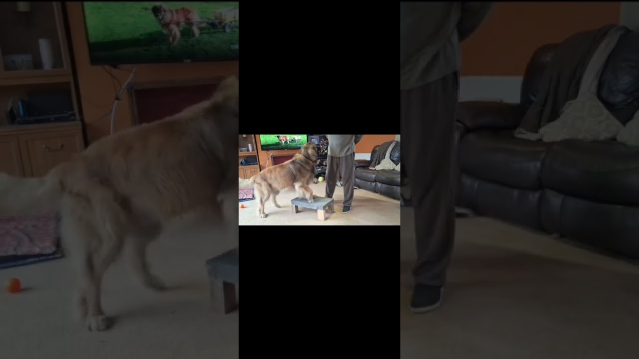 Paul and Riff Raff PPG Case Study - Paul doing a conditioning exercise of pivoting