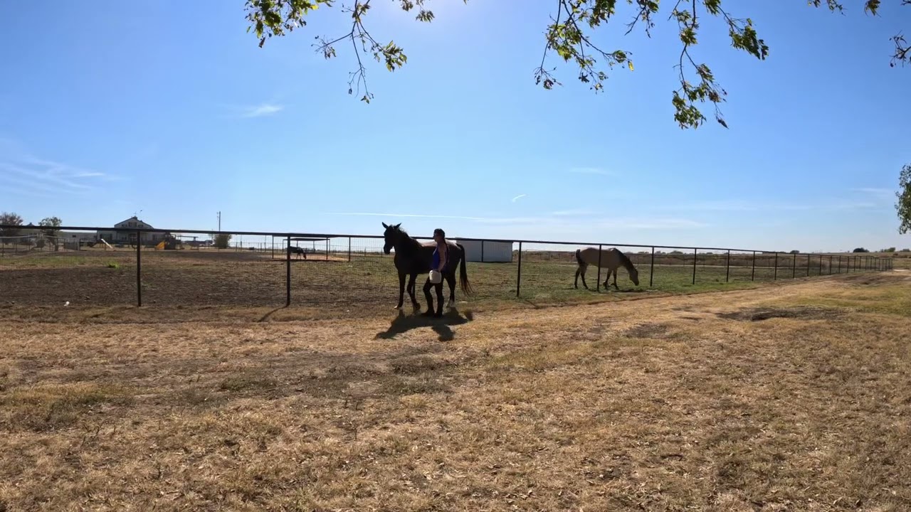 Marking For the Transition To Trot