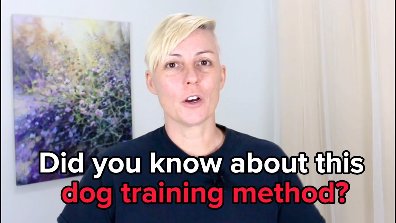 Did you know about this dog training method? - Professional dog training