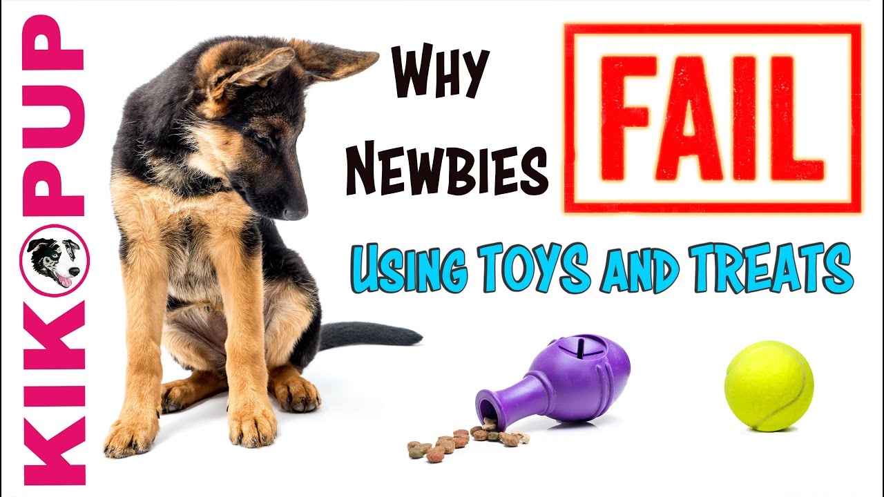 Why newbies FAIL using TREATS and TOYS to TRAIN DOGS