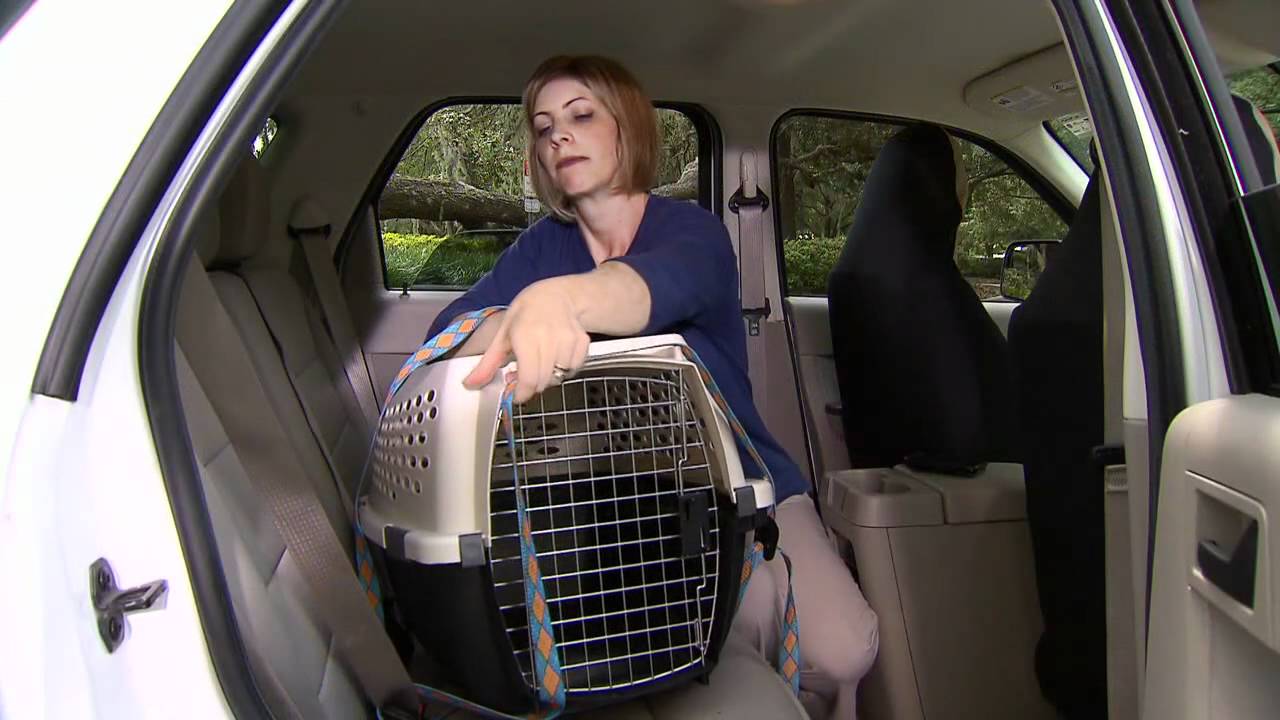 AAA/KurgoPetSafetyVideo.mp4