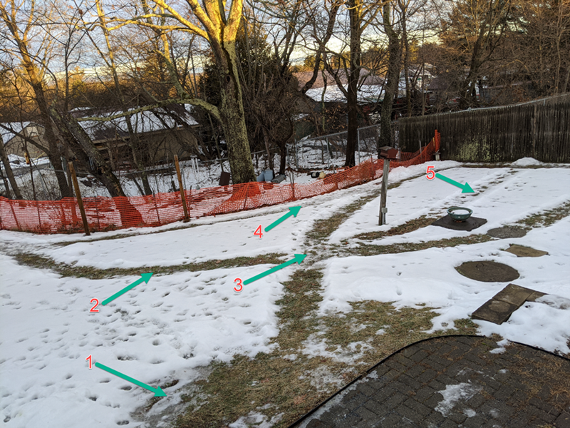 snowy ground with paths cleared for Muppy to walk