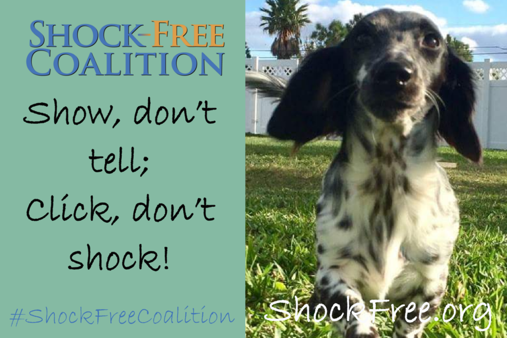 Show don't tell. Click don't shock.