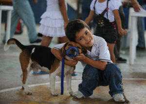 800px-US_Navy_110605-N-NY820-608_A_boy_hugs_his_dogs_after_a_medical_screening_by_veterinarians_during_a_Continuing_Promise_2011_community_service_projec