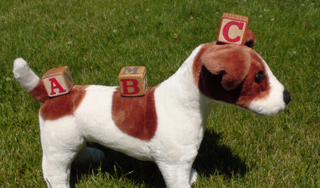 Abc Program Dog Training is Simple as A-B-C - Pet Professional Guild