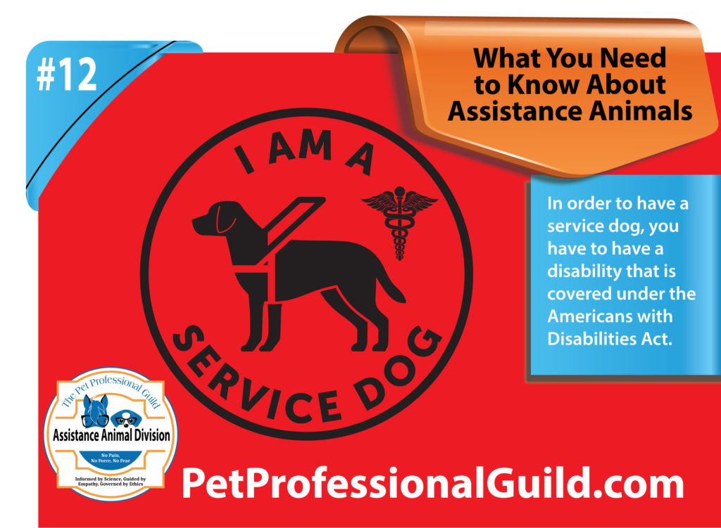 Text: What You Need To Know About Assistance Animals