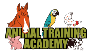 Animal Training Academy Logo 