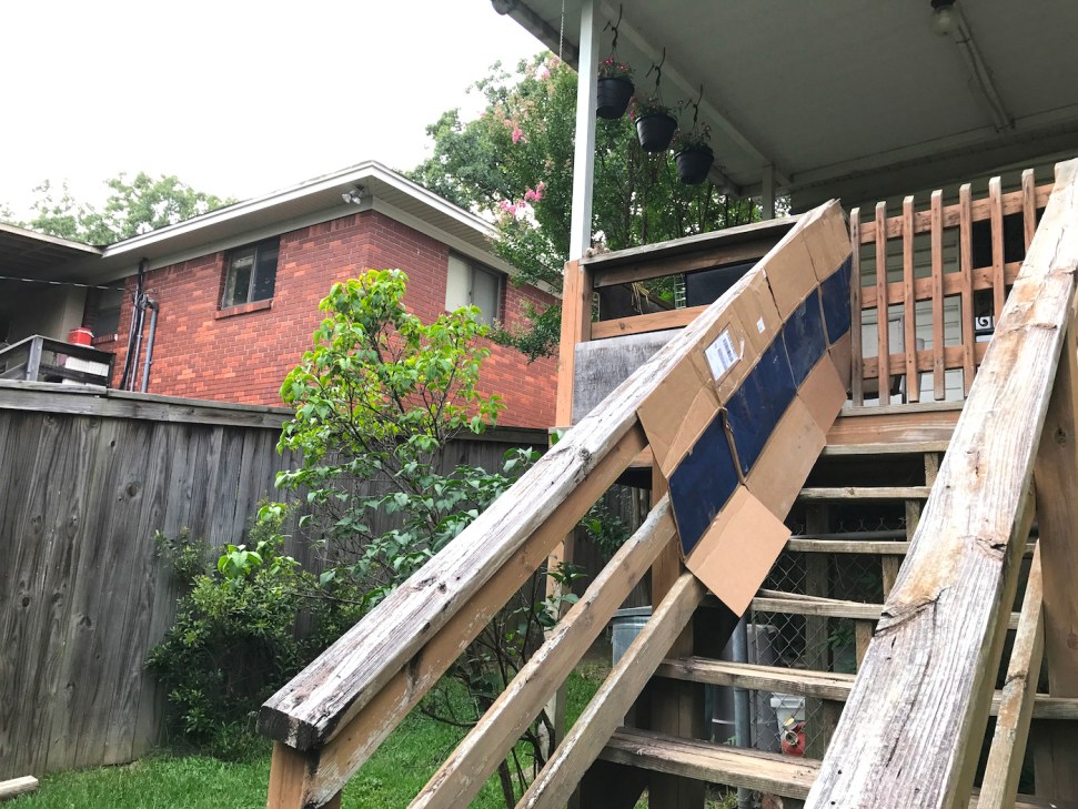 The cardboard barrier that blocks the dogs' view into the neighbors' yard is surprisingly effective