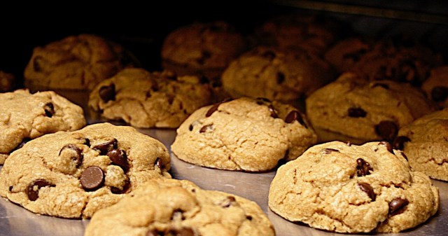 Chocolate cookies on a cookie sheet. The baker may do other activities while the cookies are baking as long as she shows up at the right time. Her behavior follows the matching law.