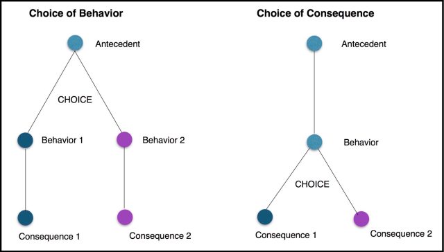 Choices diagram