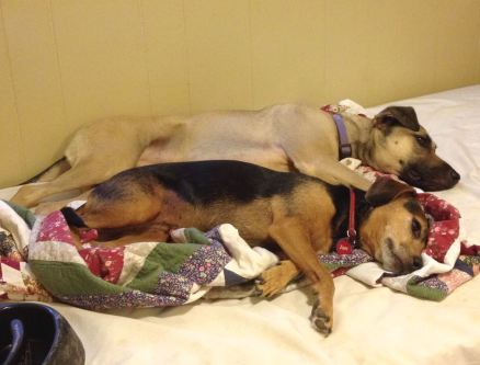 Clara and Zani on day bed