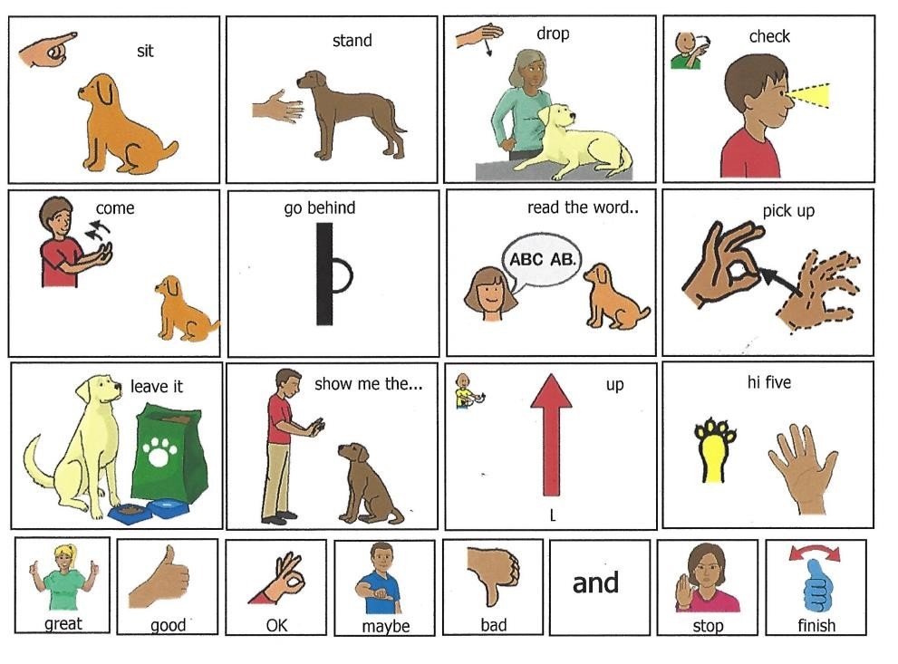 Dog Communication Chart