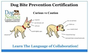 Dog Bite Prevention Certification graphic.