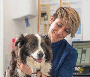 Dr Hannah Capon Canine Arthritis Management