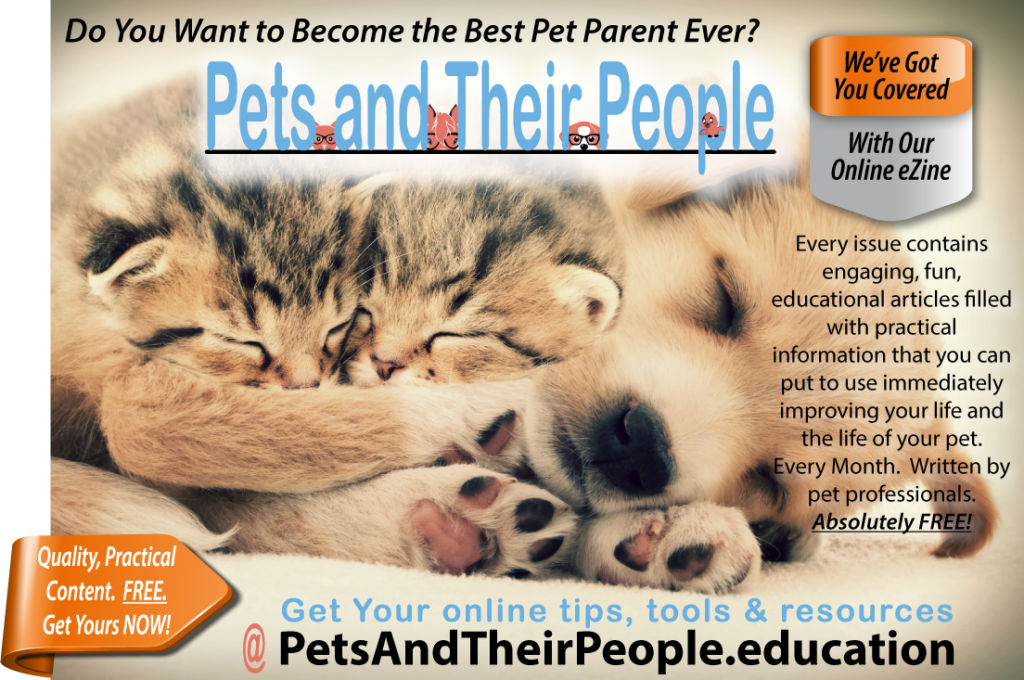 Promo for Pets & Their People with picture of puppy and kittens- Get Your Online Tips, Tools & Resources @petsandtheirpeople.education