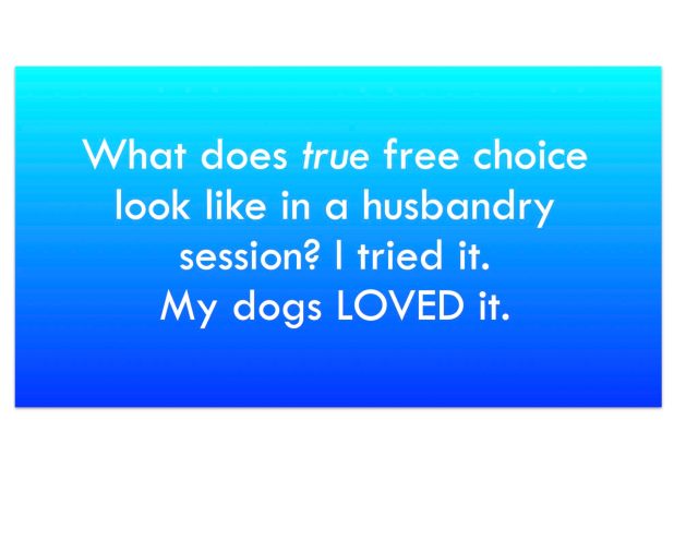 Text: What does true free choice look like in a husbandry session? I tried it. My dogs LOVED it.