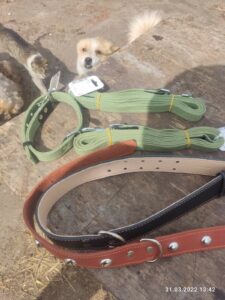 Helping Animals in Ukraine - New collars and leashes for the dogs in Sotnitskoe Animal Shelter