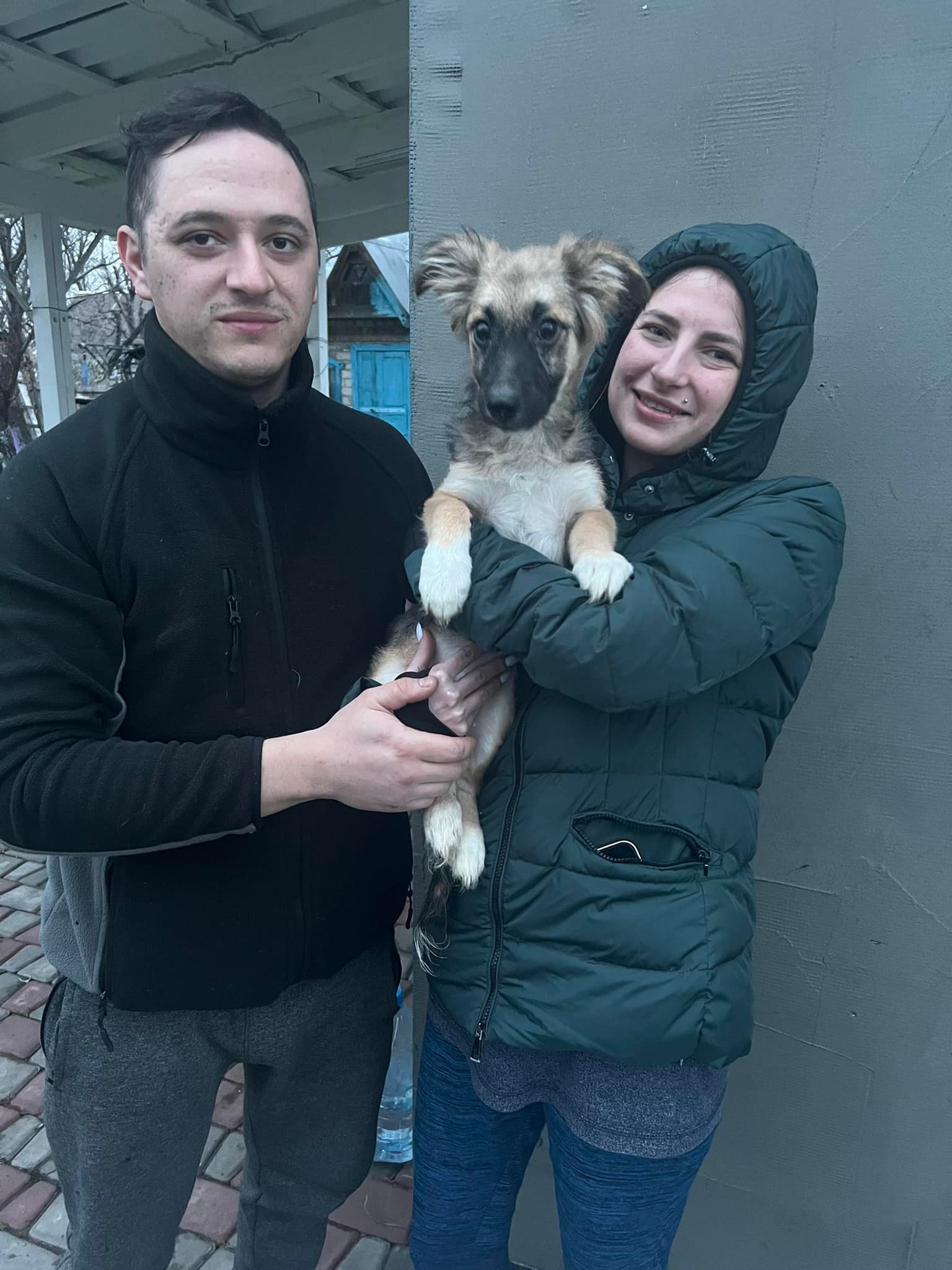 Helping Animals in Ukraine - Ray of Hope dog adoption