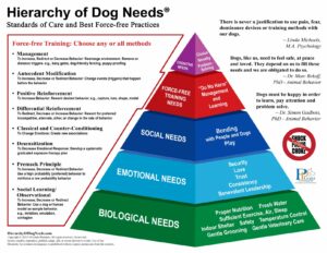 Hierarchy of Dog Needs