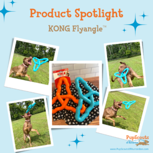 Collage of the KONG Flyangle toy and a dog playing with the toy