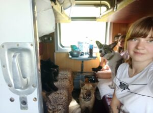 A picture from Kovcheg transporting the dogs to the Polish border in a train car.