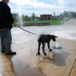 Oona tentatively examines the water jet at a municipal fountain.