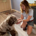 Author Debbie Sheridan sitting on the floor with a medium-sized brown and white fluffy dog