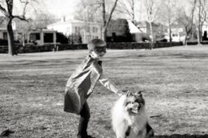A child, dressed in a costume, reaching down to pet a sitting dog.