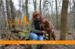 Helen Phillips Clicker Gundog