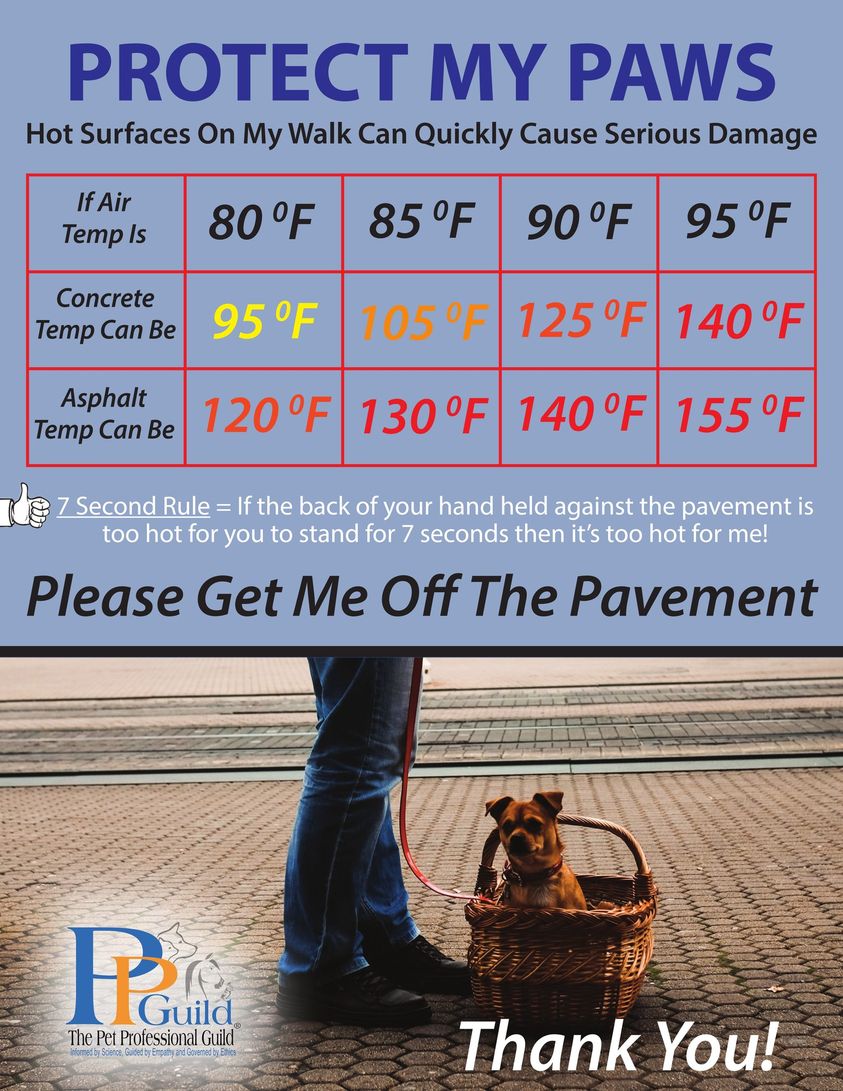 A chart comparing air temp to concrete temp