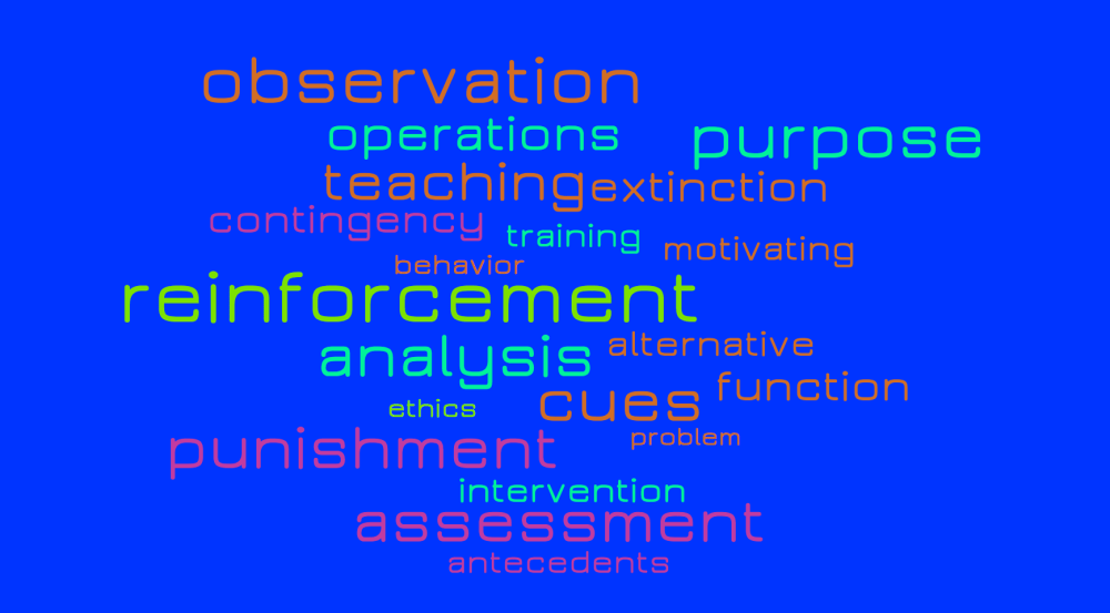 word cloud for functional assessment terms like reinforcement punishment observation