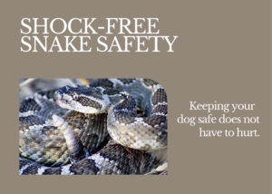 Picture of a snake with the text, keeping your dog safe doesn't have to hurt.