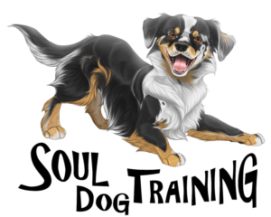 Soul Dog Training Business Logo