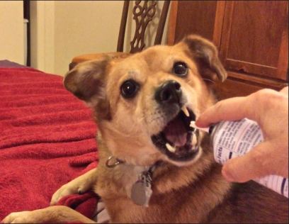 The best part of thunderstorms: spray cheese!