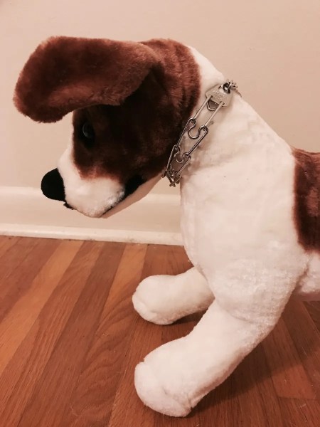 stuffed dog modeling a tightly fitted prong collar
