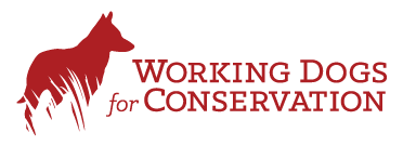Working dogs for conservation logo with a dog image