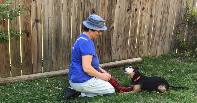 a woman with a hat and a small black dog are gazing at each other, giving their full attention