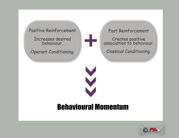 b momentum copy