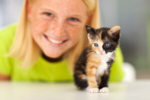 The amount of handling a cat receives as a kitten will affect his degree of friendliness as an adult. Photo (c) Can Stock Photo