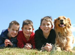 3 boys lying next to retriever dog