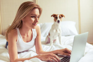 virtual online dog training
