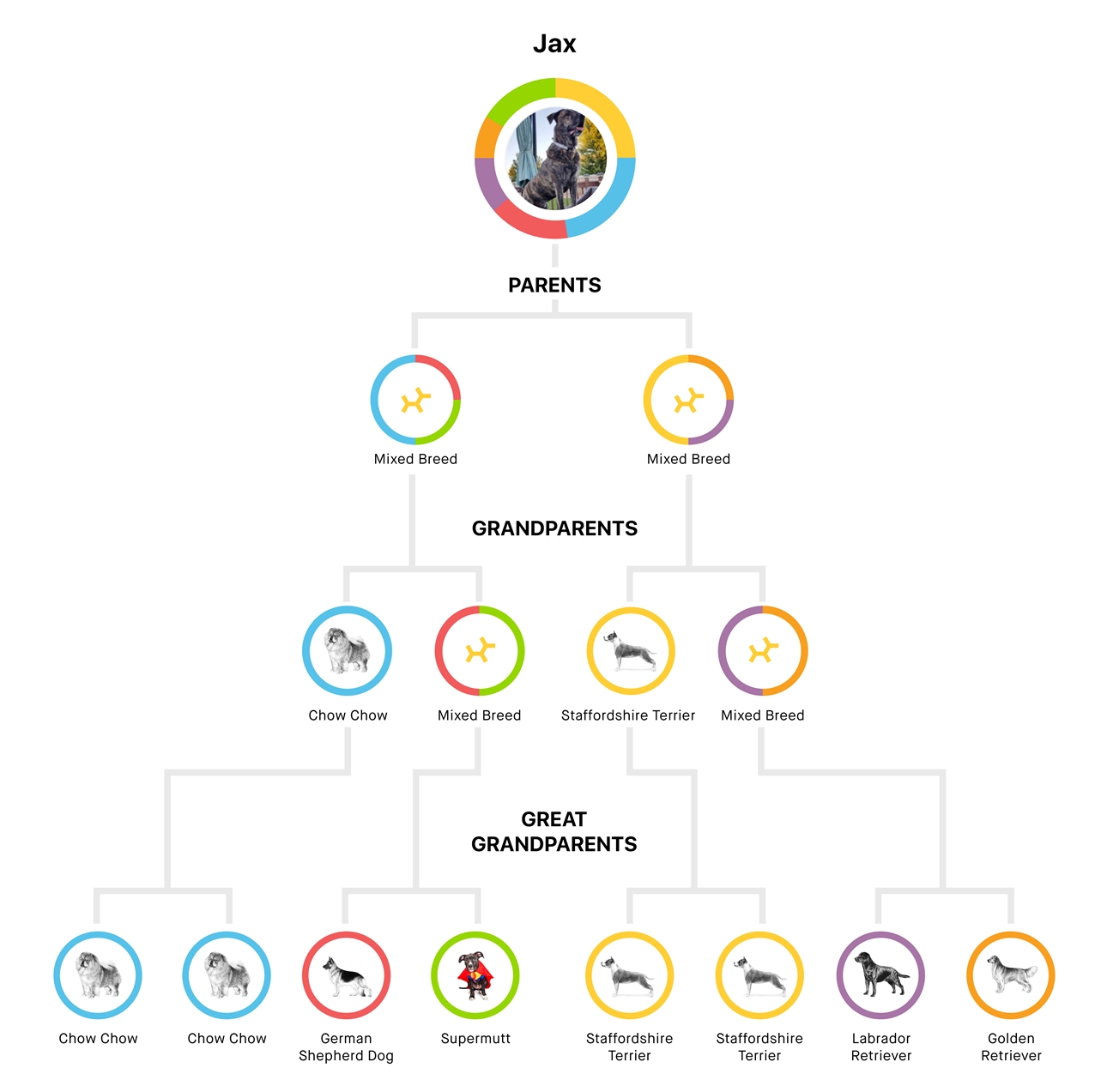 jax-family-tree DNA test