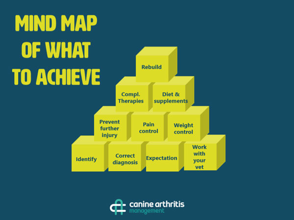 Mind Map of What To Achieve