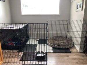 puppy cage rest area