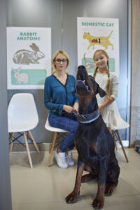 separate waiting room dogs cat veterinarian 